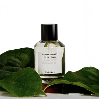 jpg_1500x1500_63174615