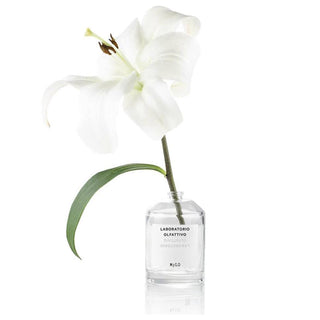 jpg_1500x1500_63174601