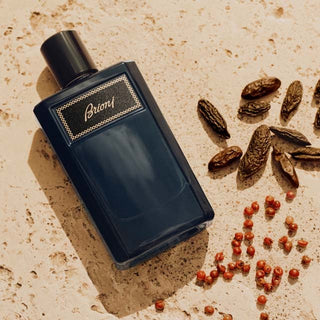 BRIONI