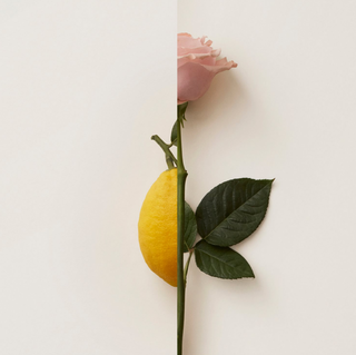 png_1500x1500_73292563