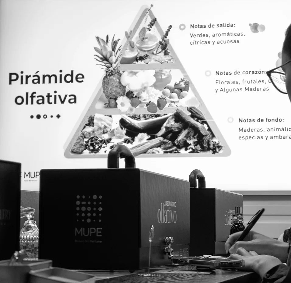 Laboratorio Olfativo en el MUPE